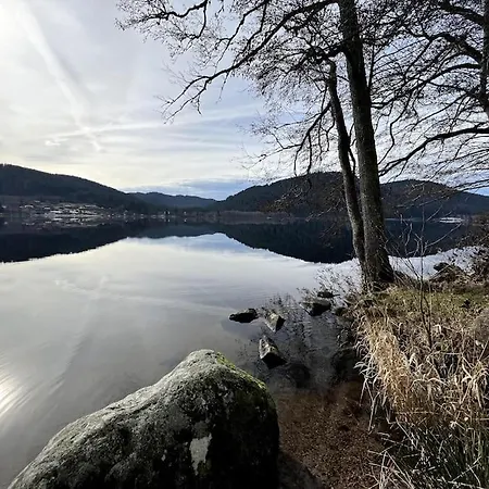 Les Deux Maisons - Le 68 - Appartement Et Balcon Vue Pistes Proche Lac Gérardmer Esterno foto