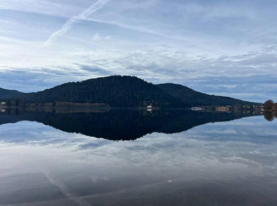 Les Deux Maisons - Le 68 - Et Balcon Vue Pistes Proche * Gerardmer