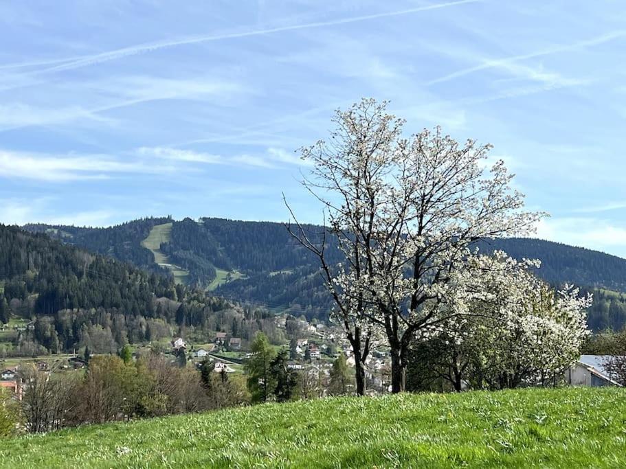 Les Deux Maisons - Le 68 - Et Balcon Vue Pistes Proche Gerardmer